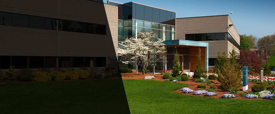 Pleasureville Landscapers