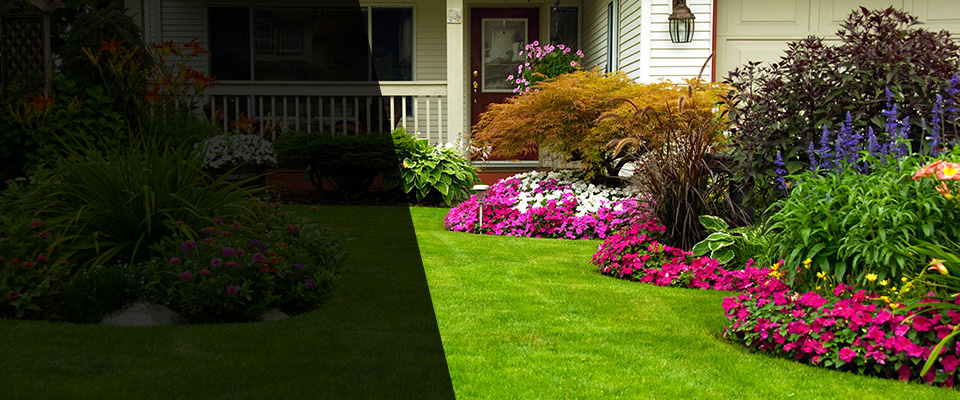 Pleasureville Landscapers