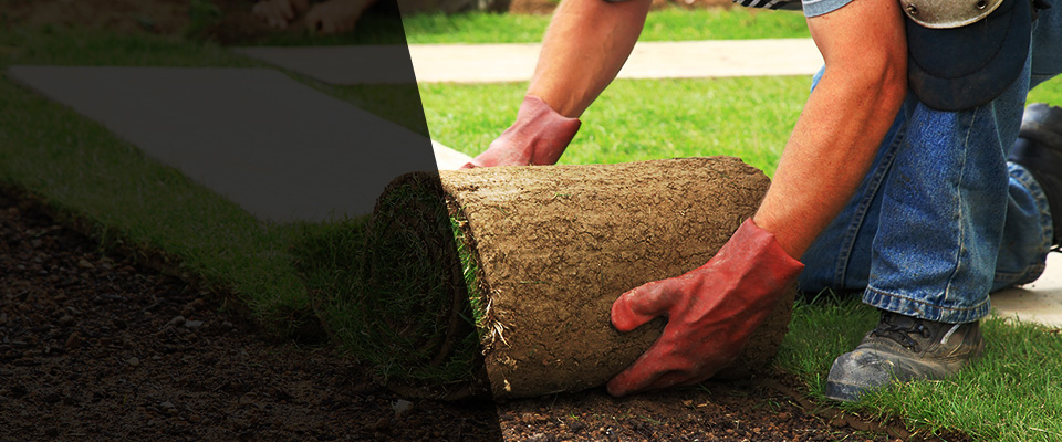 Pleasureville Landscapers